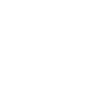 Wildfire Digital